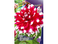 78,3���. �������� ��� ������(�������� ���� �� 1 ��., ����������� ����� 1��.).jpg