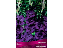 ��������� ���� �������.jpg