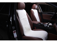 �������� ���� �������� ����� ����� 2100�.jpg