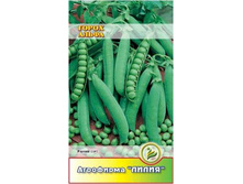 ����� ����� ������	10