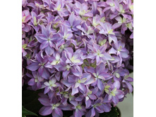 265���. ��������� �������������� �������.jpg