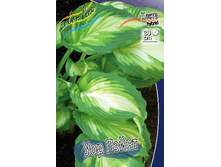 196,6���. ����� ��� �����(�������� ���� �� 1 ��., ����������� ����� 1��.).jpg