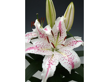 29,96���. ����� ��������(�������� ���� �� 5 ��., ����������� ����� 1��.)���16.jpg