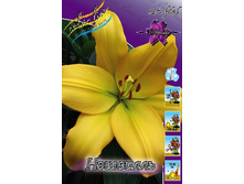 18,96���. ����� ��������(���������� �� ����� �������� �� 7��.).jpg