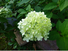 �������� 2014