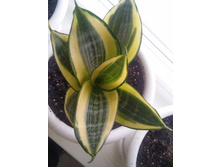 20151025 162133 HDR.jpg