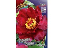 1341,1���. ���� ������� ����� (���)(�������� ���� �� 1 ��., ����������� ����� 1��.).jpg