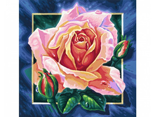 9250409 ���� ���� 1703 ���.jpg