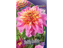 84,8���. �������� ���� �����(�������� ���� �� 1 ��., ����������� ����� 1��.).jpg