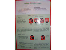 ������ ����� �������_120+% ����������