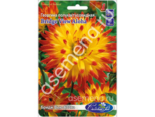 ����� ��� �����.jpg