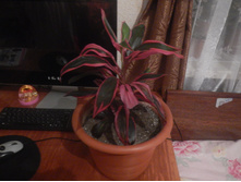 DSCN1643.JPG