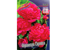 173,4���. ���� ������� ������(�������� ���� �� 1 ��., ����������� ����� 1��.).jpg