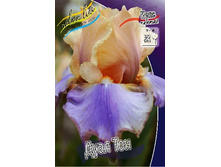 95,3���. ���� ���������� ���� ���(�������� ���� �� 2 ��., ����������� ����� 1��.).jpg