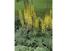 88,8���. ��������� �������������(�������� ���� �� 1 ��., ����������� ����� 1��.).jpg