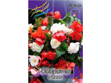 76,13���. ������� ������� �����(�������� ���� �� 3 ��., ����������� ����� 1��.)���16.jpg