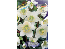 96,65���. �������� �����(�������� ���� �� 2 ��., ����������� ����� 1��.).jpg