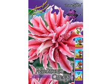 59���. ����� ������ ����(�������� ���� �� 5 ��., ����������� ����� 1��.).jpg