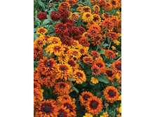 100,4���. �������� �������� ���(�������� ���� �� 1 ��., ����������� ����� 1��.).jpg