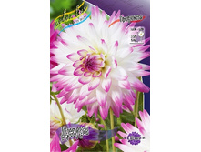 82���. �������� �����(�������� ���� �� 1 ��., ����������� ����� 1��.).jpg