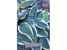 221,5���. ����� ��� �����(�������� ���� �� 1 ��., ����������� ����� 1��.).jpg