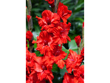 9,83���. ��������� ���� �������(���������� ������ ������ ���������� �� 8 ��.).jpg