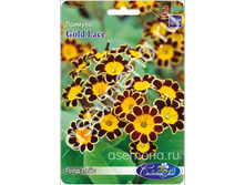 ���� ����.jpg