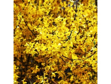 134���. �������� ������������� ��� ���.jpg