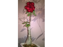 WP 20151018 18 45 49 Pro.jpg