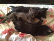 2015-09-17 14.59.01.jpg