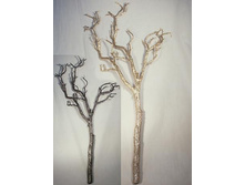 11/1684� ����� ��