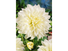 89,4���. �������� ������(�������� ���� �� 1 ��., ����������� ����� 1��.)���15.jpg