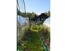 ������� (11).JPG