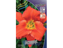 76,75���. �������� �������(�������� ���� �� 2 ��., ����������� ����� 1��.).jpg