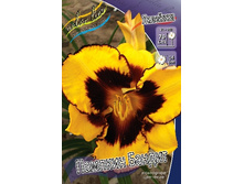 196,6���. �������� ������� ������(�������� ���� �� 1 ��., ����������� ����� 1��.).jpg