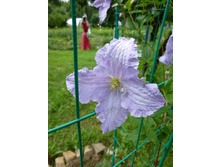 �������� �����