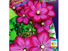 245���. �������� ���� �� ����.jpg