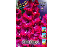 8,91���. ��������� ��� ����(���������� ������ ������ ���������� �� 8 ��.).jpg