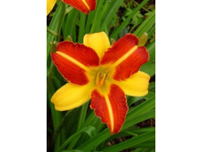 41,9���. �������� ����� ����(�������� ���� �� 2 ��., ����������� ����� 1��.).jpg