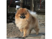 ��� ������ 005.JPG