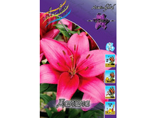 24,44���. ����� ������(�������� ���� �� 5 ��., ����������� ����� 1��.).jpg