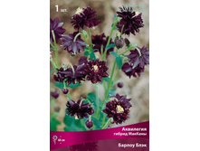 ��������� ������ ������� ������ ����.jpg