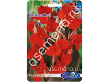 ���� ���.jpg