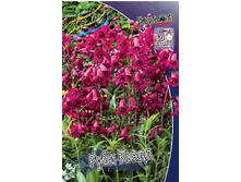 165,1���. ��������� ���� �����(�������� ���� �� 1 ��., ����������� ����� 1��.).jpg