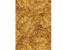 ��� ����� ���. cp56385-004.jpg