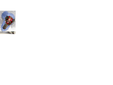 ����������1.png