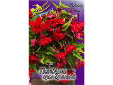 45,86���. ������� ������� ����-�������(�������� ���� �� 5 ��., ����������� ����� 1��.).jpg