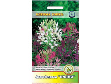 ������ ����� ���������� 	0,15	5,00 ���.