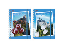 �������� ������ �6 120�. �� �������� ���������, �� ������� 36,26.jpg