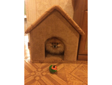 �� 670 ��� - ����� ��� �������� "�����"